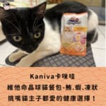 Kaniva卡咪哇｜維他命晶球貓餐包-鮪.蝦.凍狀｜挑嘴貓主子都愛的健康選擇！